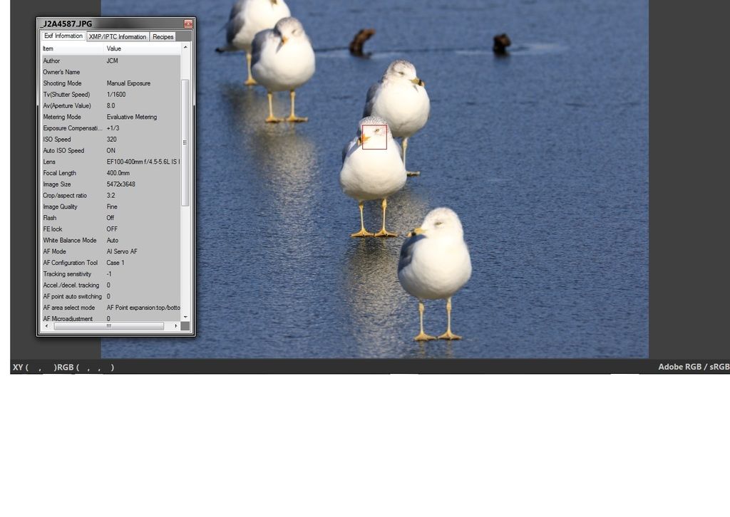 IMAGE: http://i1237.photobucket.com/albums/ff461/JM45ACP/4587test%20shot_zps4ad3q3lx.jpg