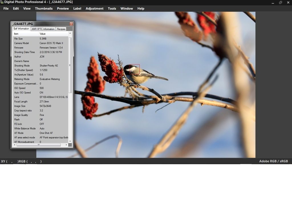 IMAGE: http://i1237.photobucket.com/albums/ff461/JM45ACP/4677%20test%20photo_zpsnykrxqzf.jpg