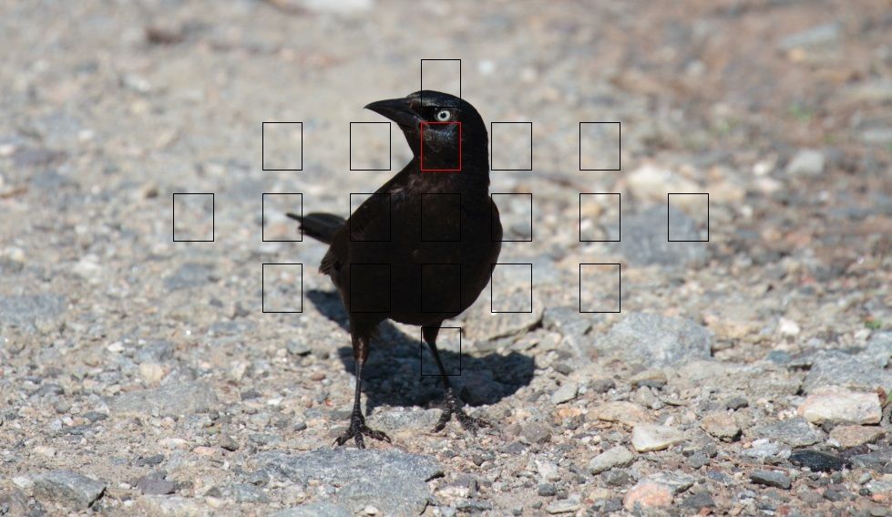 IMAGE: http://i1237.photobucket.com/albums/ff461/JM45ACP/7Dfocus%20point1_zpsy1kwa7vi.jpg