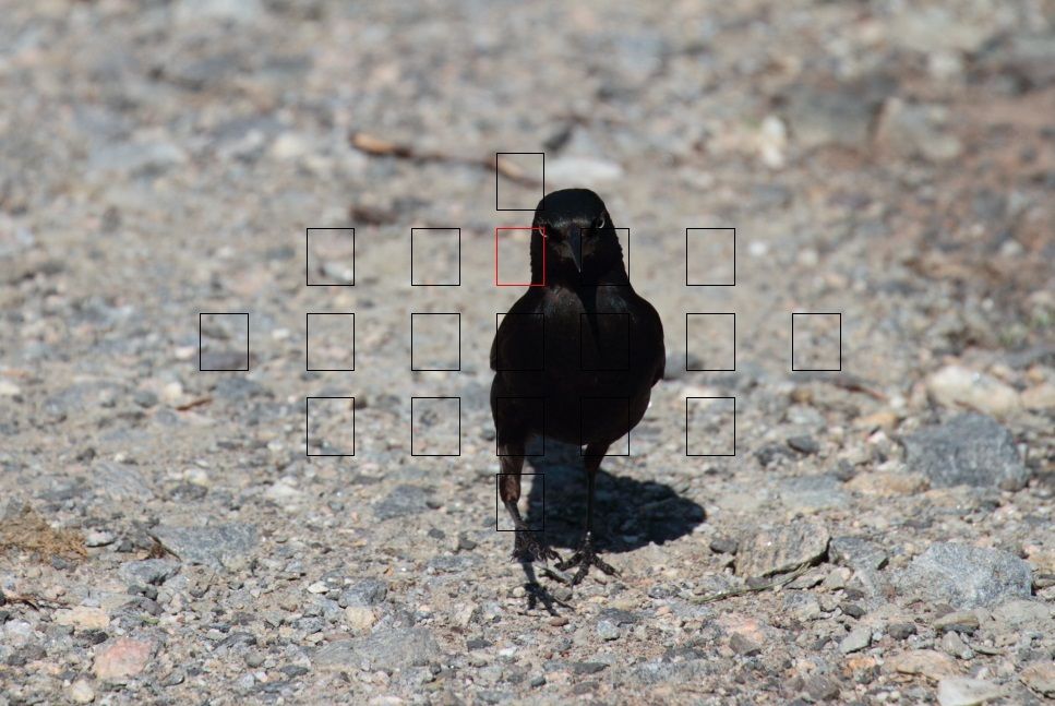 IMAGE: http://i1237.photobucket.com/albums/ff461/JM45ACP/7Dfocus%20point2_zpsxnklyjki.jpg