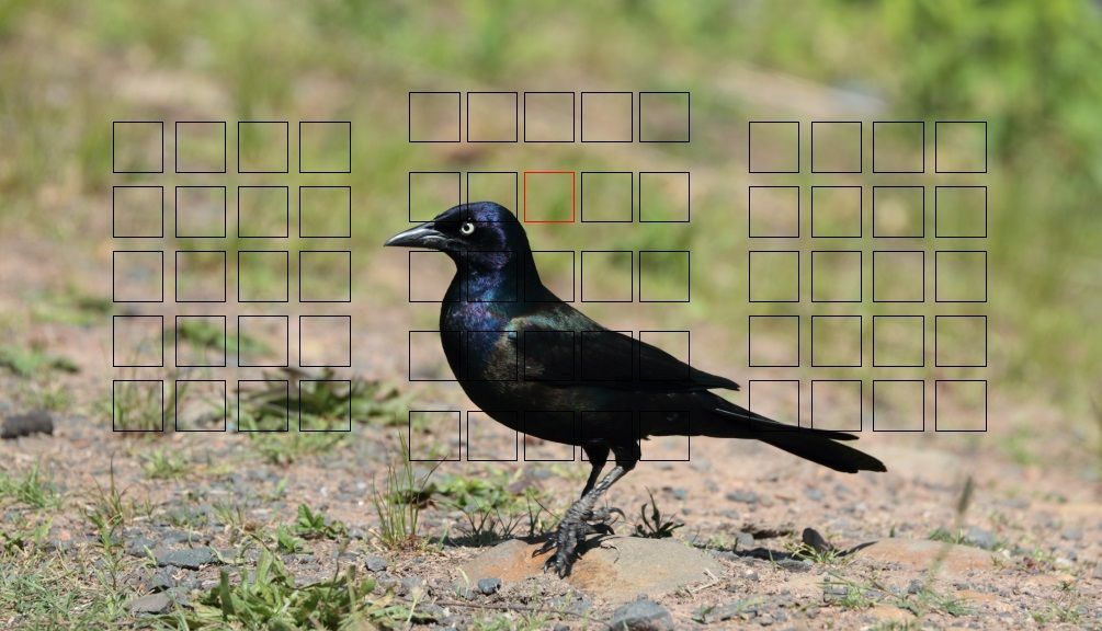 IMAGE: http://i1237.photobucket.com/albums/ff461/JM45ACP/mk2focus%20point1_zpsg5j2sdgz.jpg