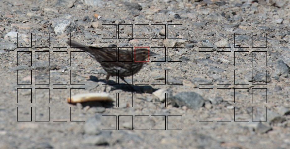 IMAGE: http://i1237.photobucket.com/albums/ff461/JM45ACP/mk2focus%20point2_zpschsovrl5.jpg