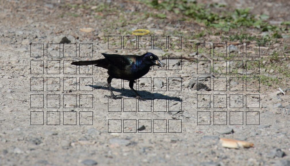 IMAGE: http://i1237.photobucket.com/albums/ff461/JM45ACP/mk2focus%20point3_zpsckhlgjym.jpg