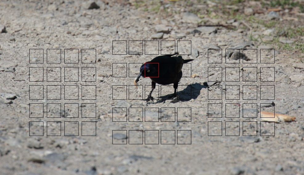 IMAGE: http://i1237.photobucket.com/albums/ff461/JM45ACP/mk2focus%20point4_zps4etlcg1c.jpg