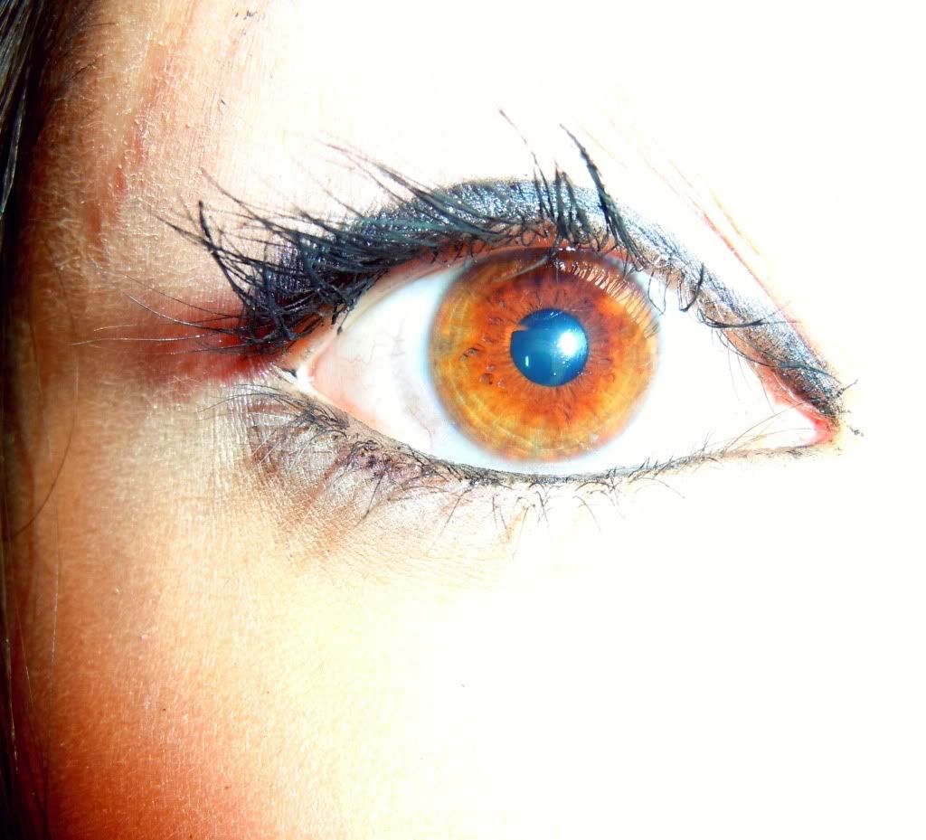 Eyelashes. (c) aliciac2 silk eyelashes vs mink