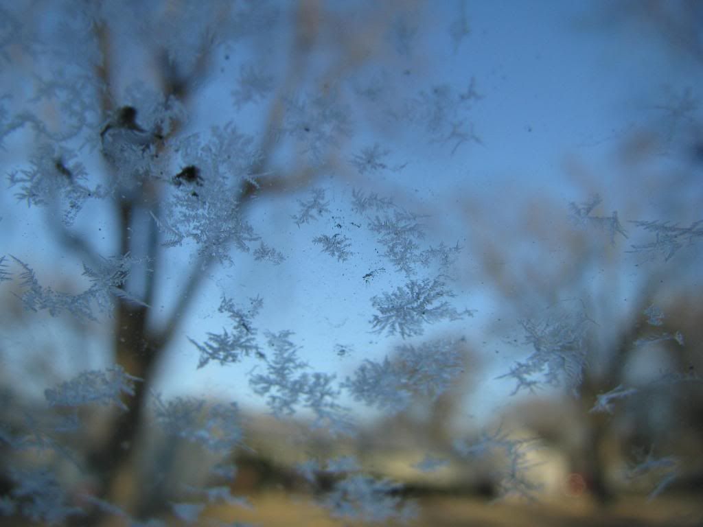 011812 Frost flake