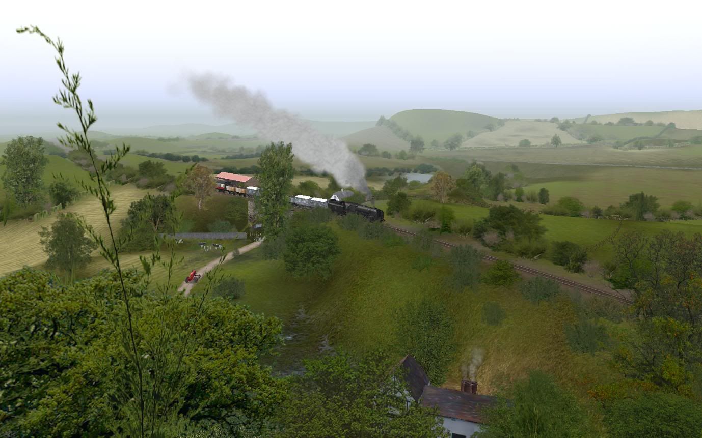 8493560c.jpg
