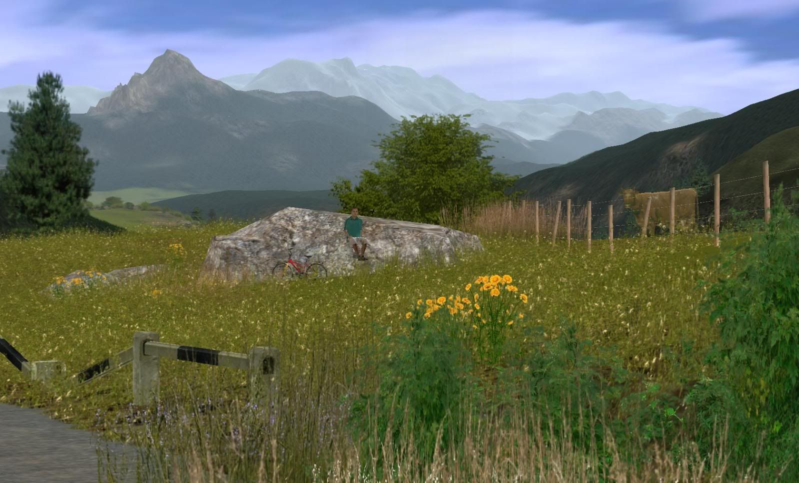 mountainbike3_zps77535aa8.jpg