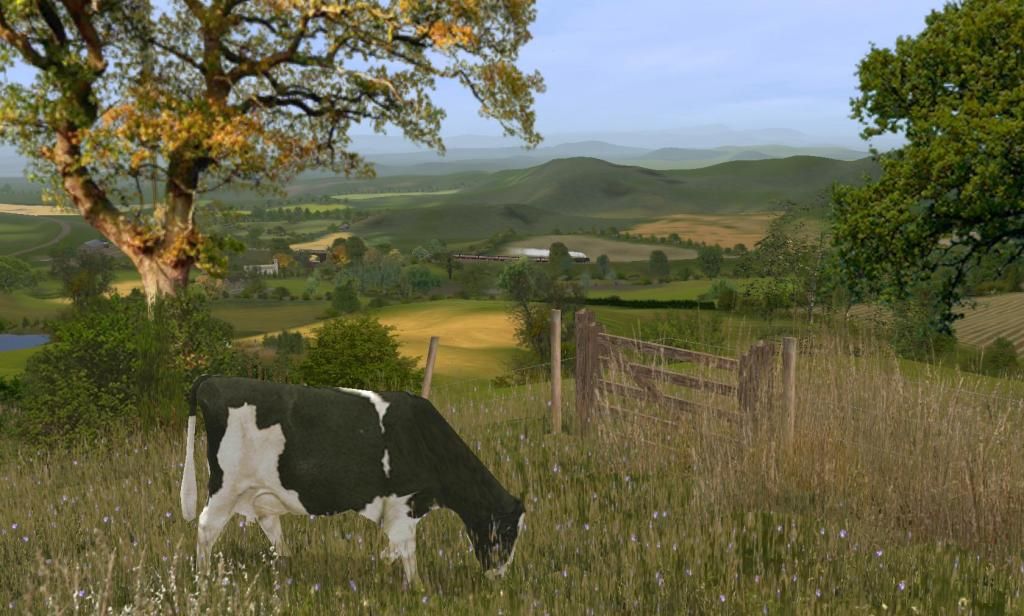 nature1_zpsf521db15.jpg~original