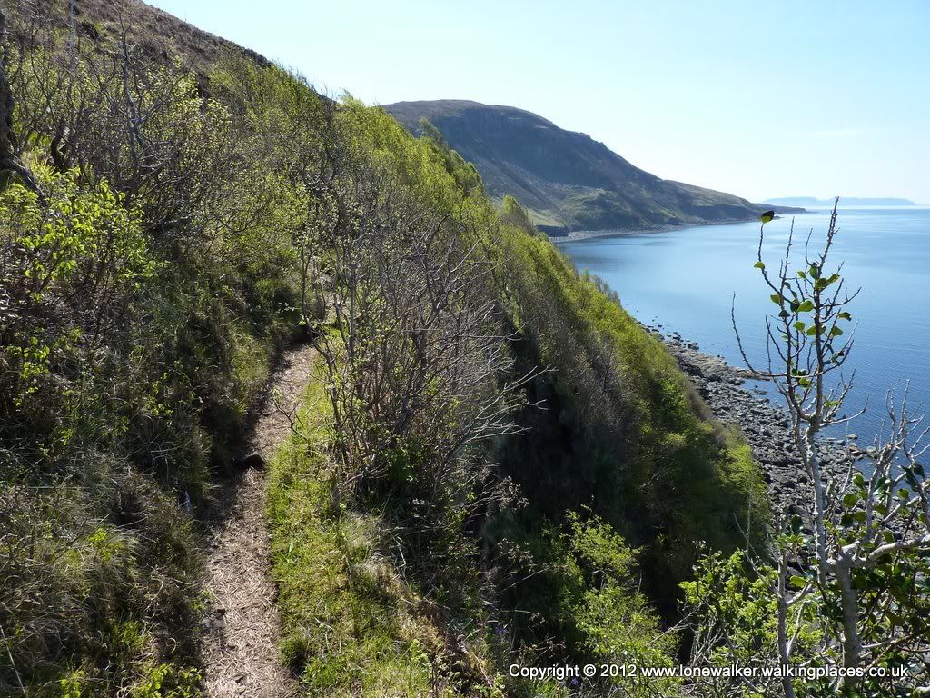 The cliffside path is narrow in places, with unnervingly sheer drops off to the right - I took my time along here