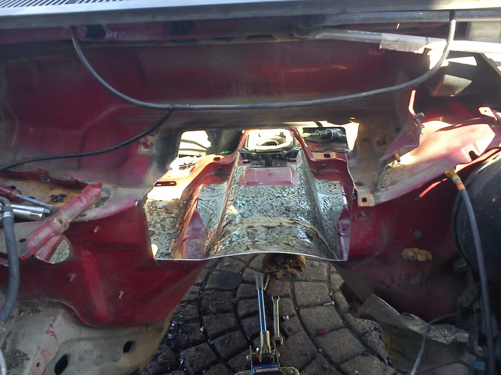 DSC02954.jpg?t=1310850176