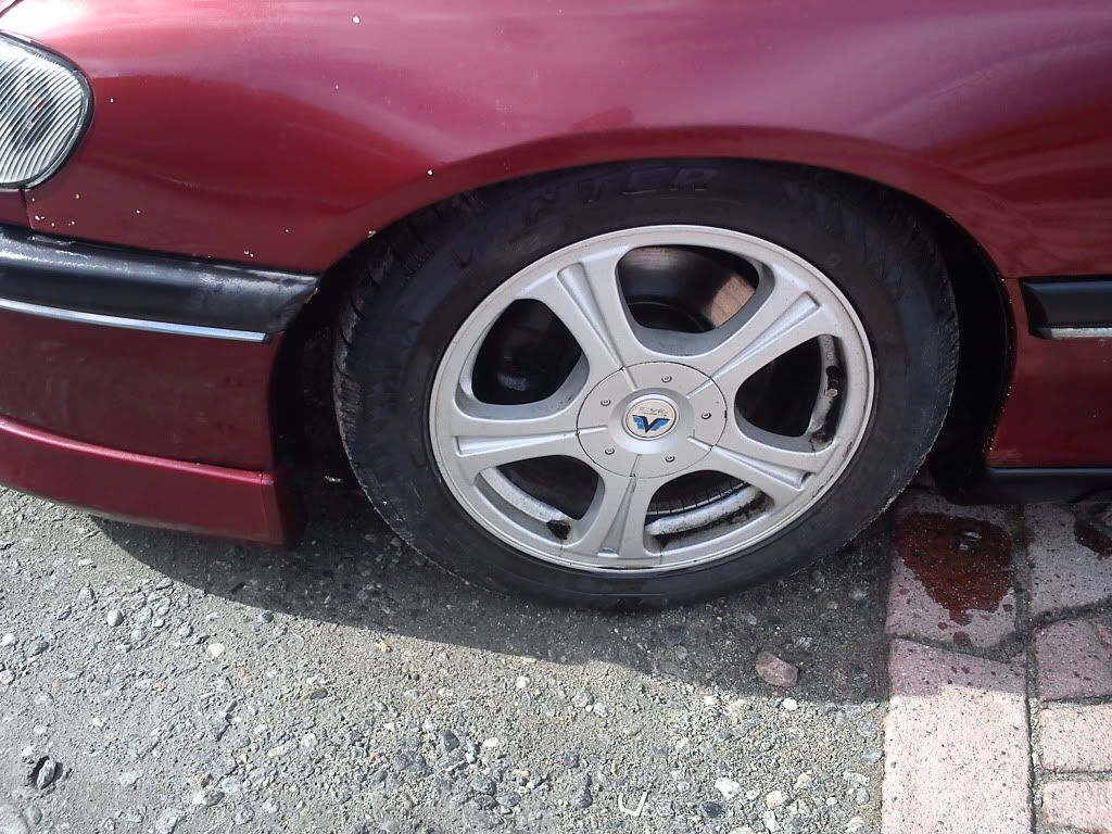 DSC00224.jpg?t=1301926305