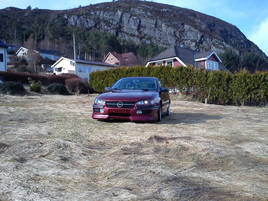 DSC00227.jpg?t=1301926305