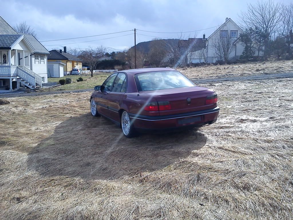 DSC00230.jpg?t=1301927347