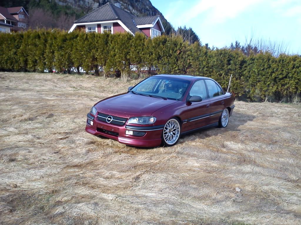 DSC00231.jpg?t=1301927347