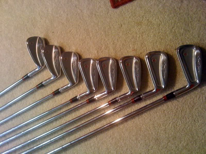 Hogan Irons