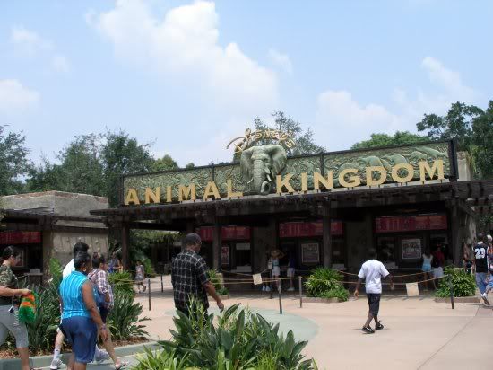 AnimalKingdom-Entrada-1.jpg