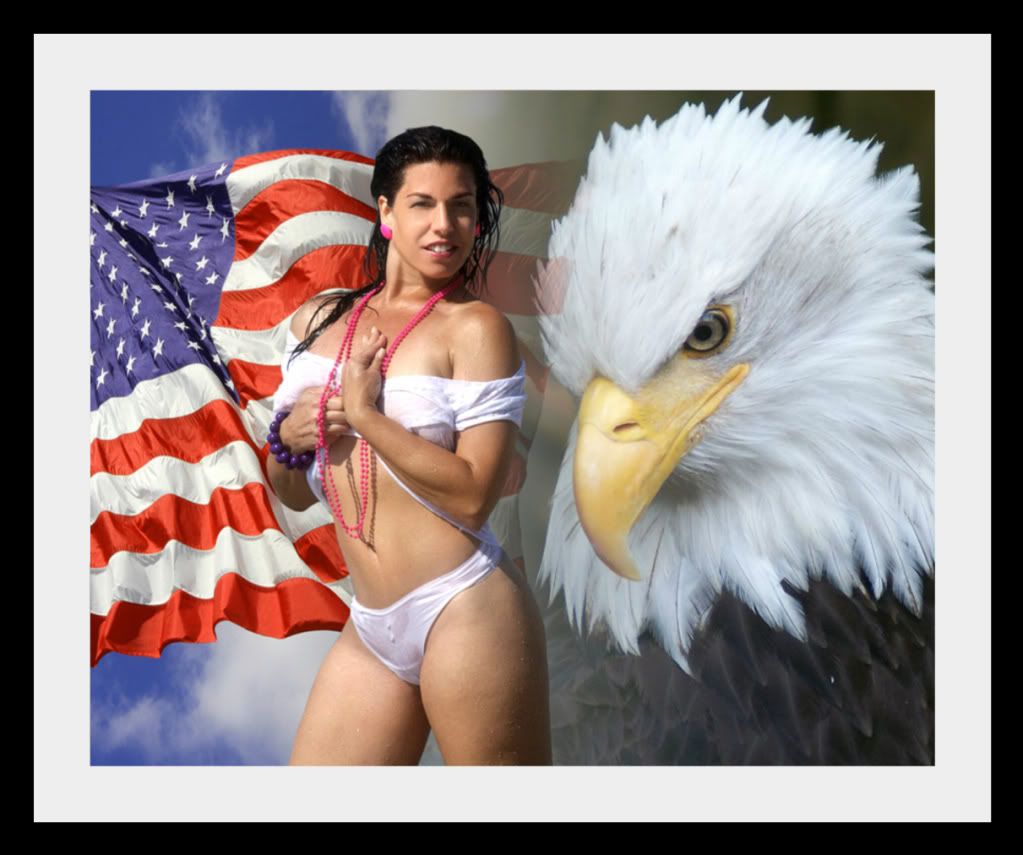 http://i1237.photobucket.com/albums/ff465/dawnmodeling/resized4thofJuly.jpg