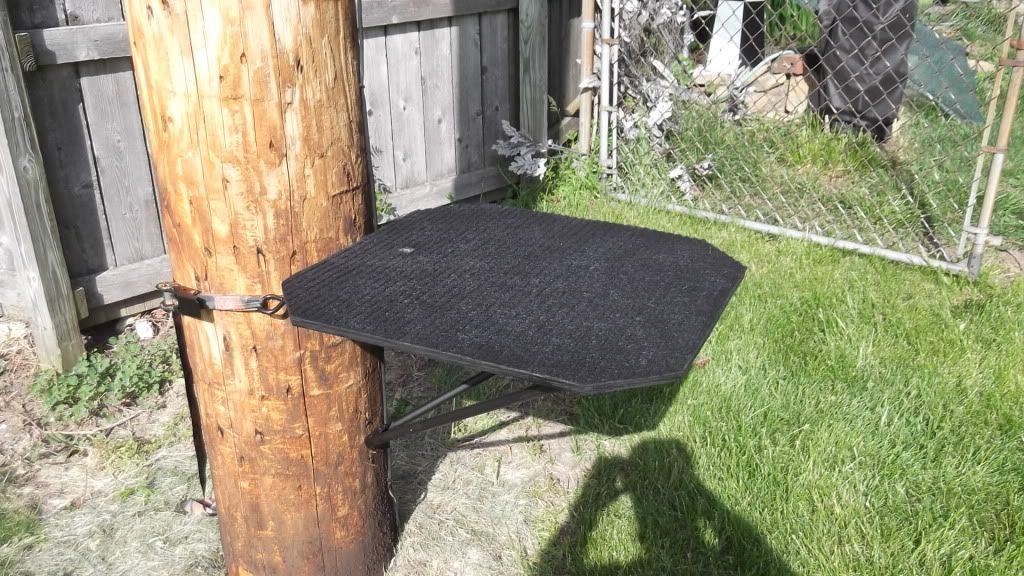 Dog Stands Hunting Dog Forum