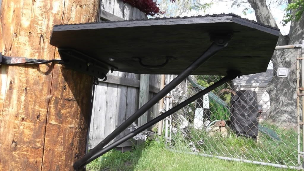 Dog Stands Hunting Dog Forum