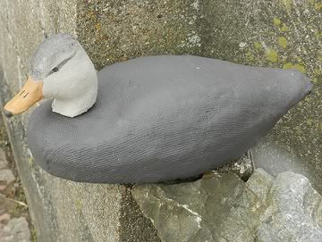 Black Duck Decoys