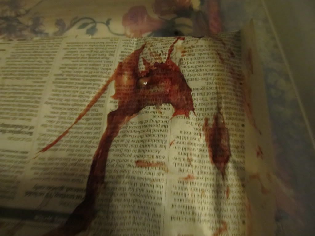 blood001.jpg