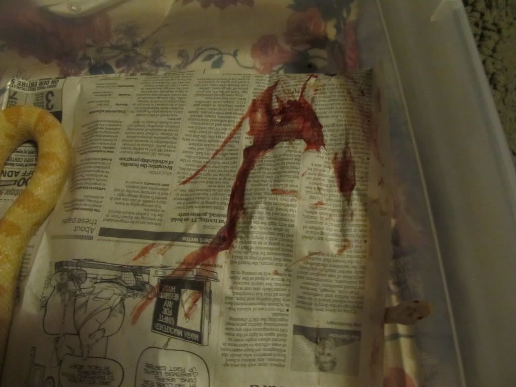 blood002.jpg