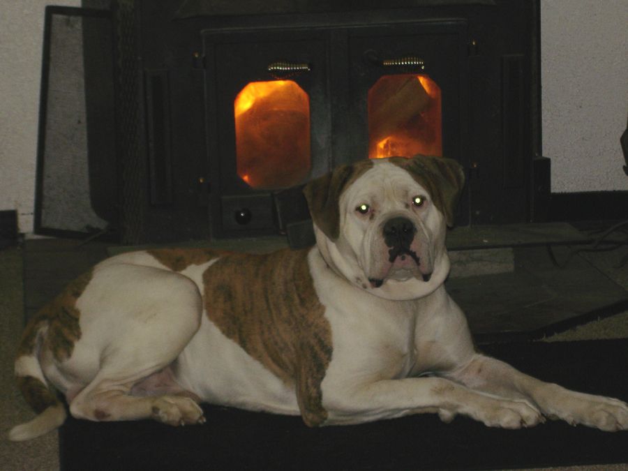 Utilitity Bills: Need advice please! - Homesteading Questions