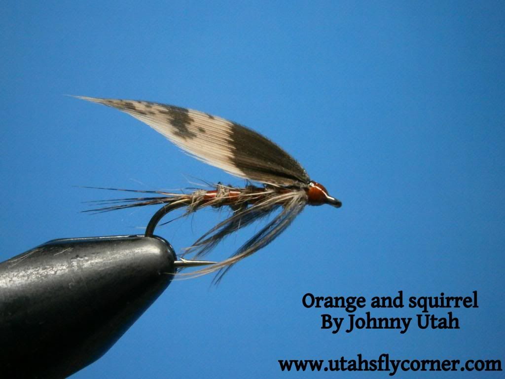 Orange and squirrel