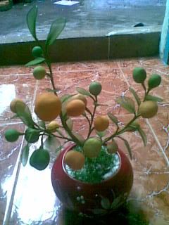 Hiến Tiểu Cầu ngày 10/7, 14/7, và 15/7 - 2