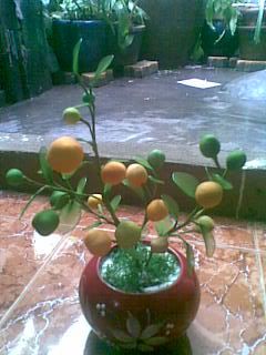 Hiến Tiểu Cầu ngày 10/7, 14/7, và 15/7 - 1