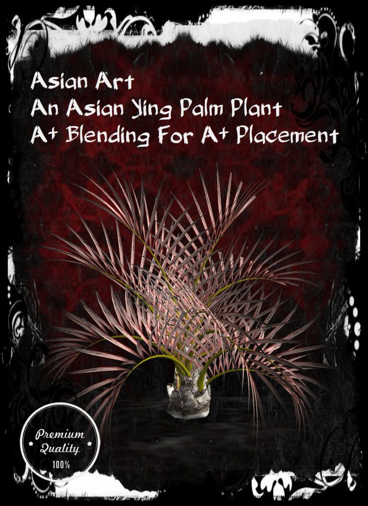 AsianYingPlant