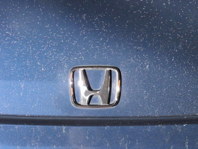 Hondapaint.jpg