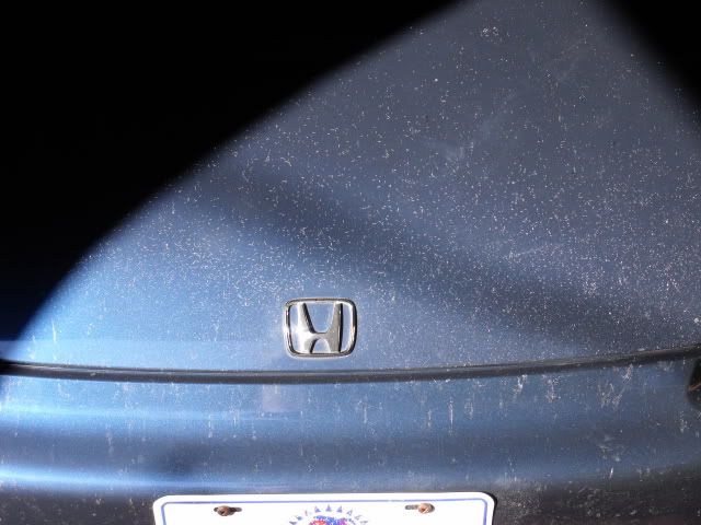Hondapaint2.jpg