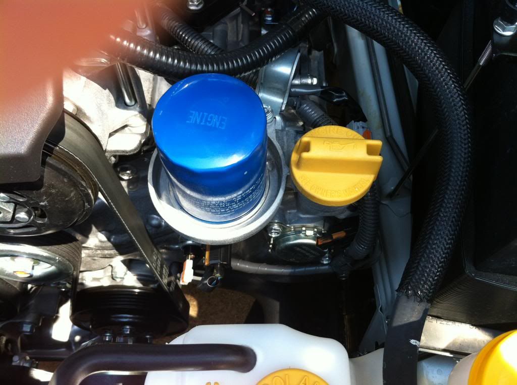 Canister oil filter NO, NO, NO. Go back to spinon oil filter!!! Page