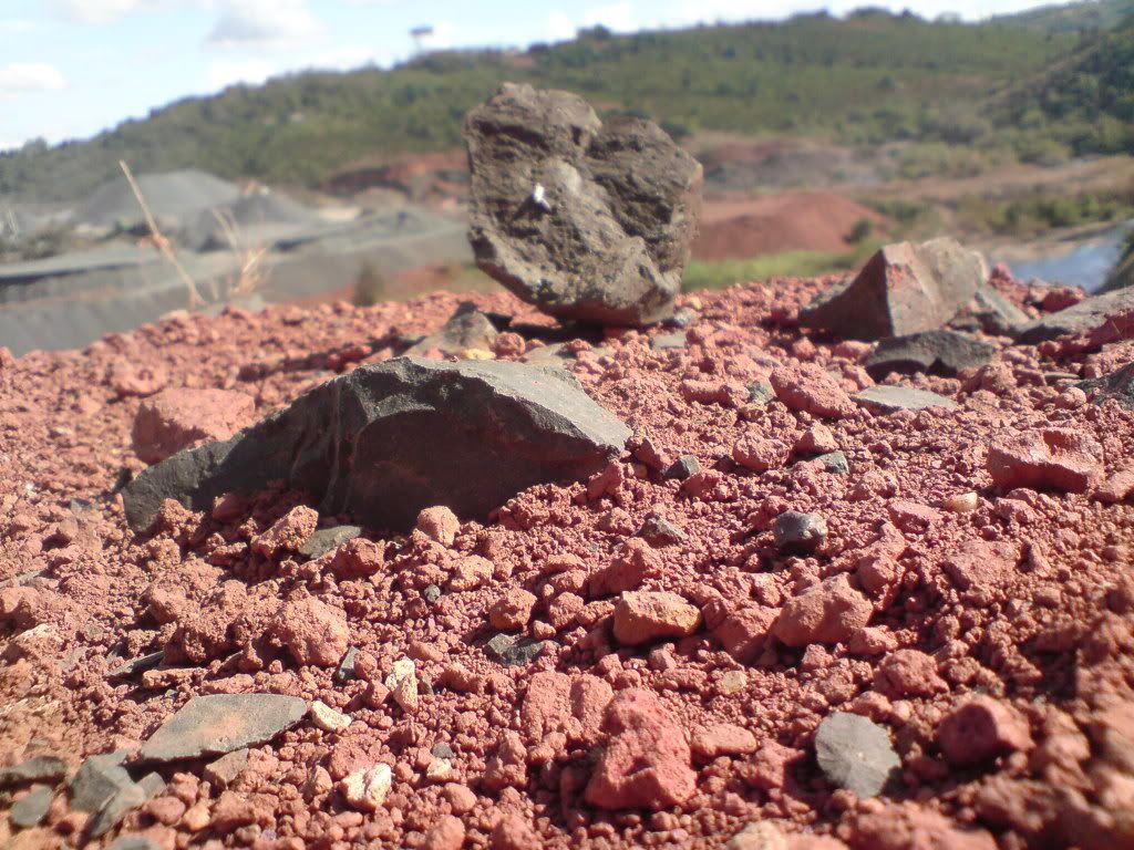 topic về những hình ảnh chụp bằng điện thoại di động - 5