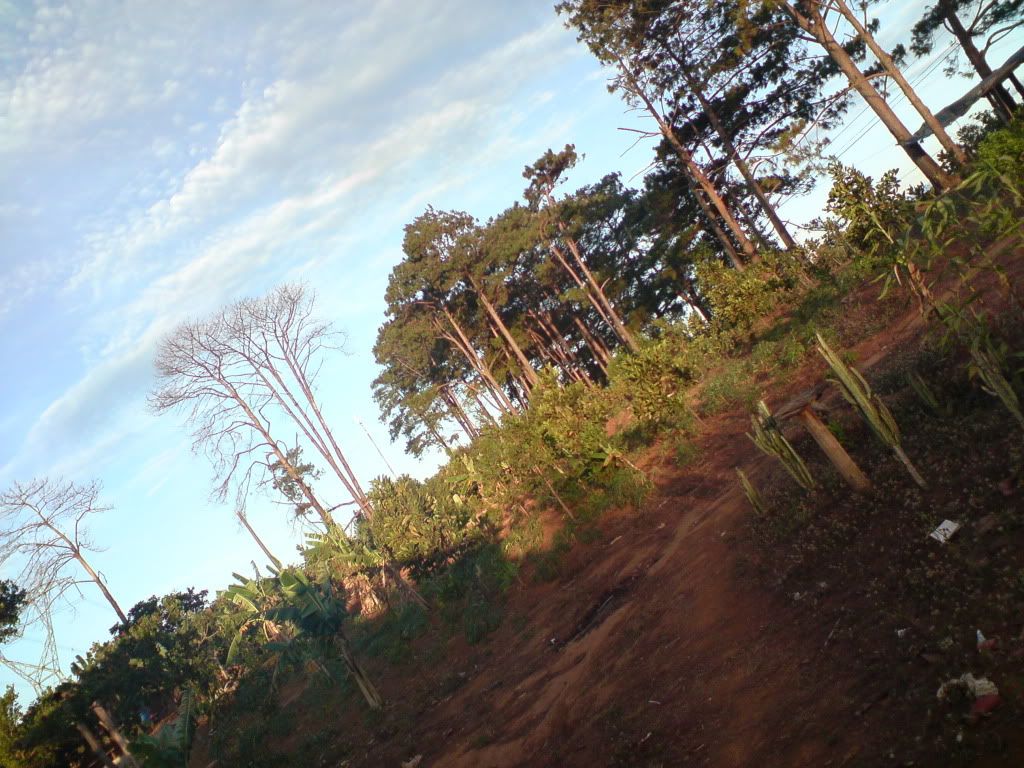 topic về những hình ảnh chụp bằng điện thoại di động - 2