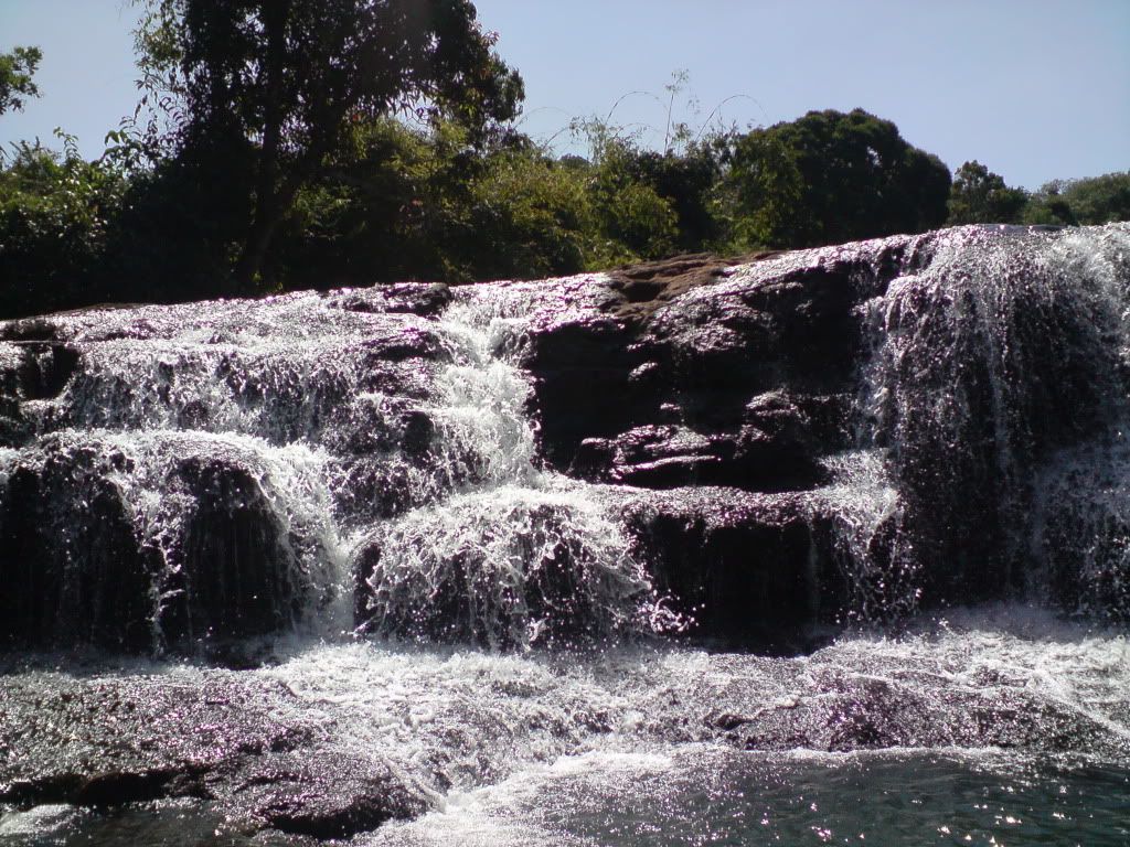 topic về những hình ảnh chụp bằng điện thoại di động