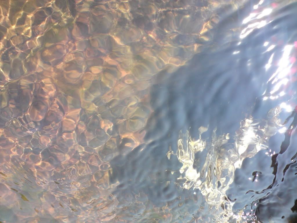 topic về những hình ảnh chụp bằng điện thoại di động - 1