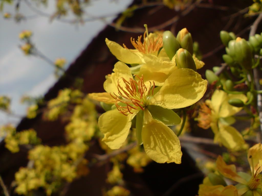 topic về những hình ảnh chụp bằng điện thoại di động - 4