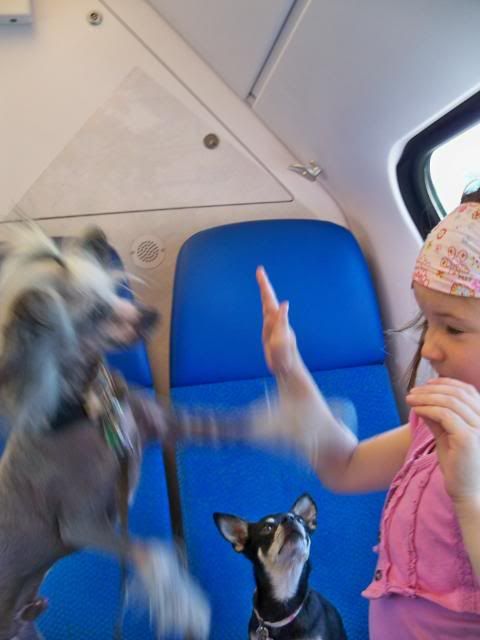 100_8201.jpg