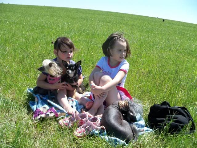 100_8344.jpg