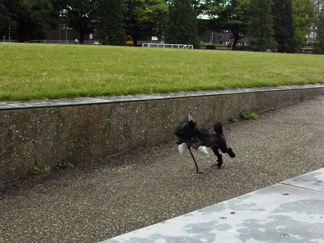 P7190615.jpg