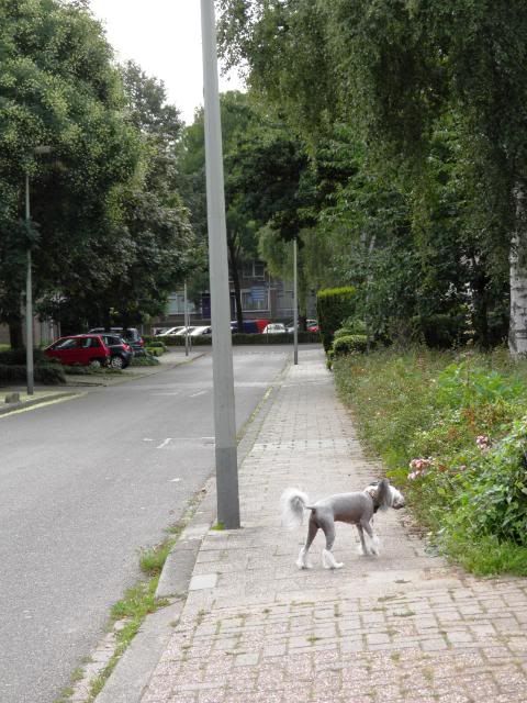 P8041201.jpg