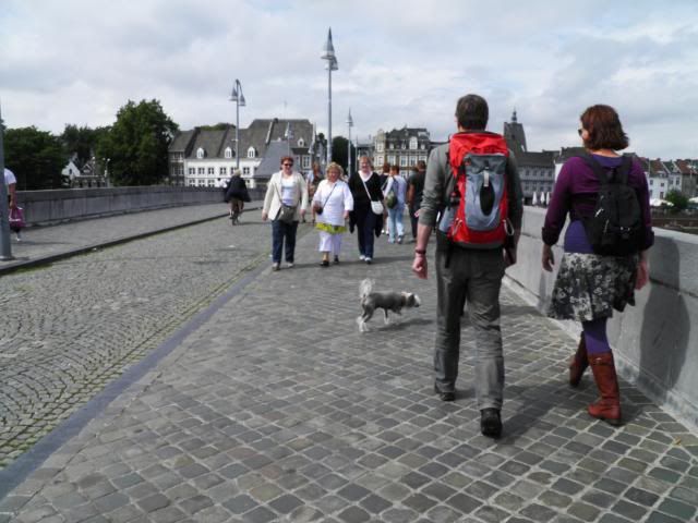 P8051207.jpg