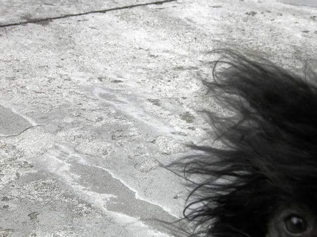 P9070568.jpg