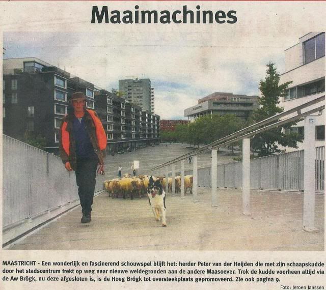 Maaimachines.jpg