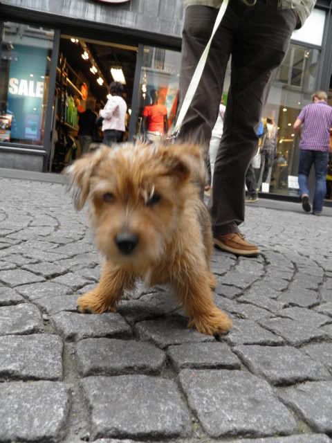 P7010551.jpg