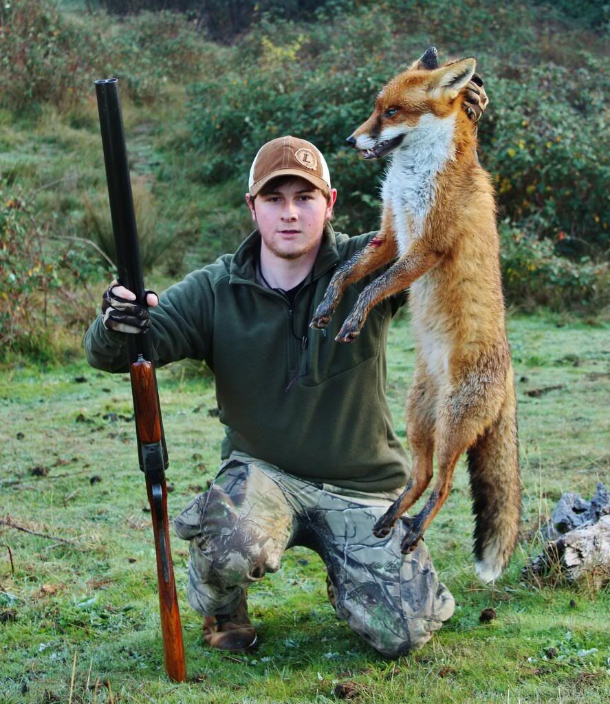 Dogfox2_zps9f384d55.jpg