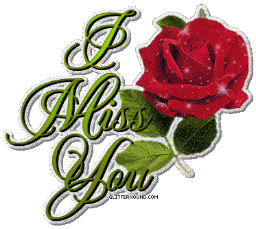 rose Pictures, Images and Photos